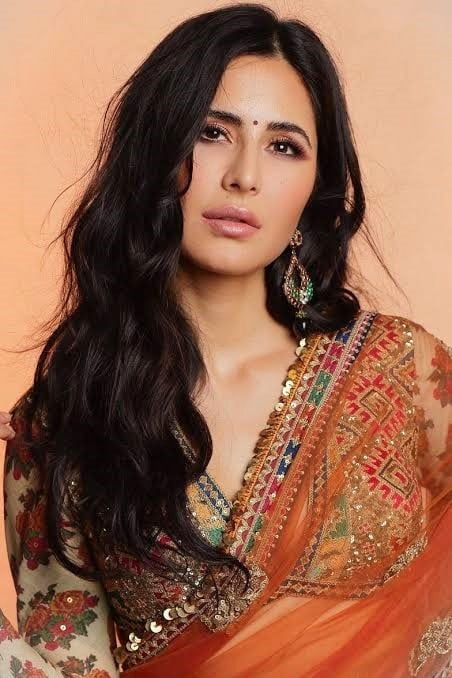 Katrina Kaif Age, Height, Weight & Family, Biography, Husband, Net Worth in 2024