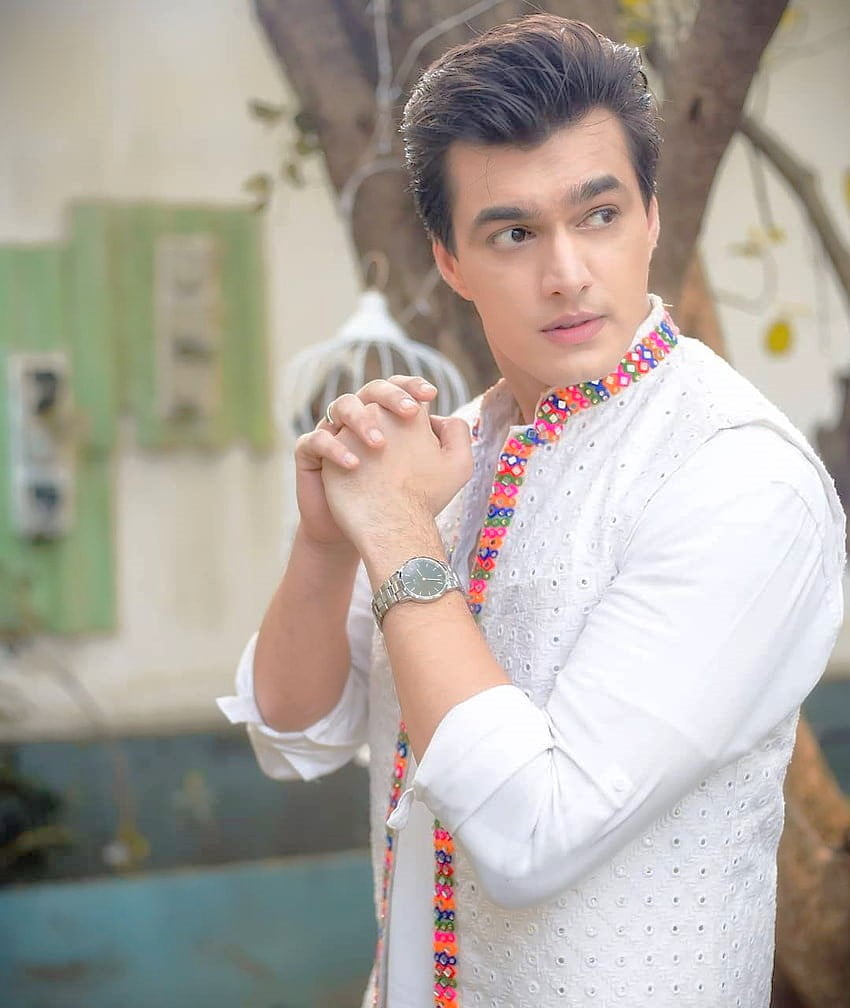 Mohsin Khan Age, Height, Weight, Wiki, Biography, Family, And More